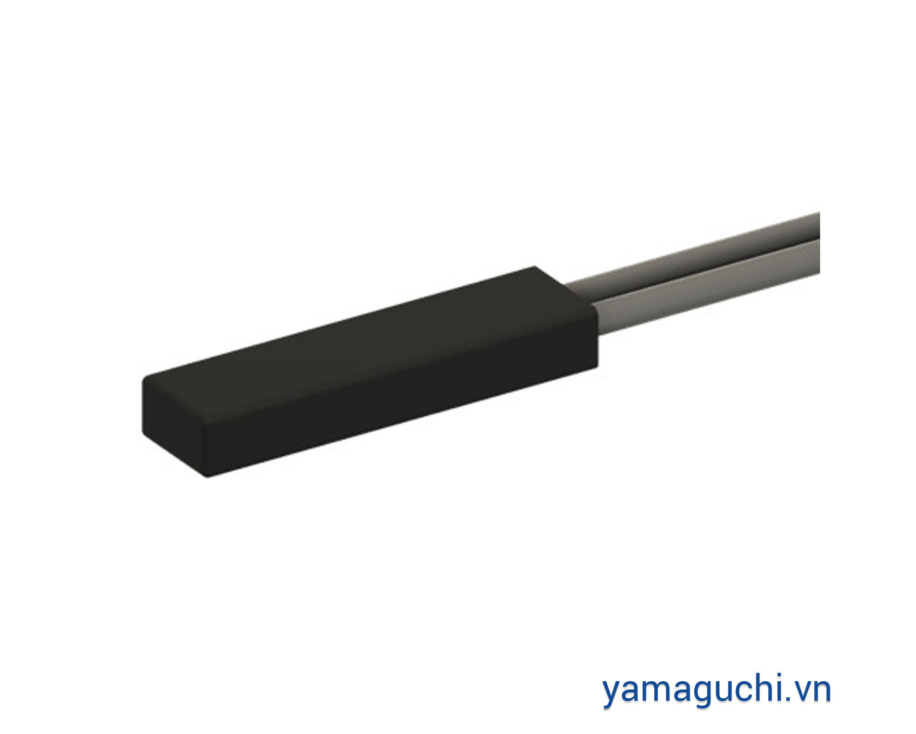 Thin type PPS sensor