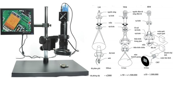 4 hệ thống quan trọng trong cấu tạo của kính hiển vi quang học