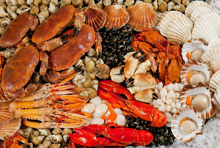 Dị ứng giáp xác có nguy hiểm không? Cách kiểm tra protein giáp xác
