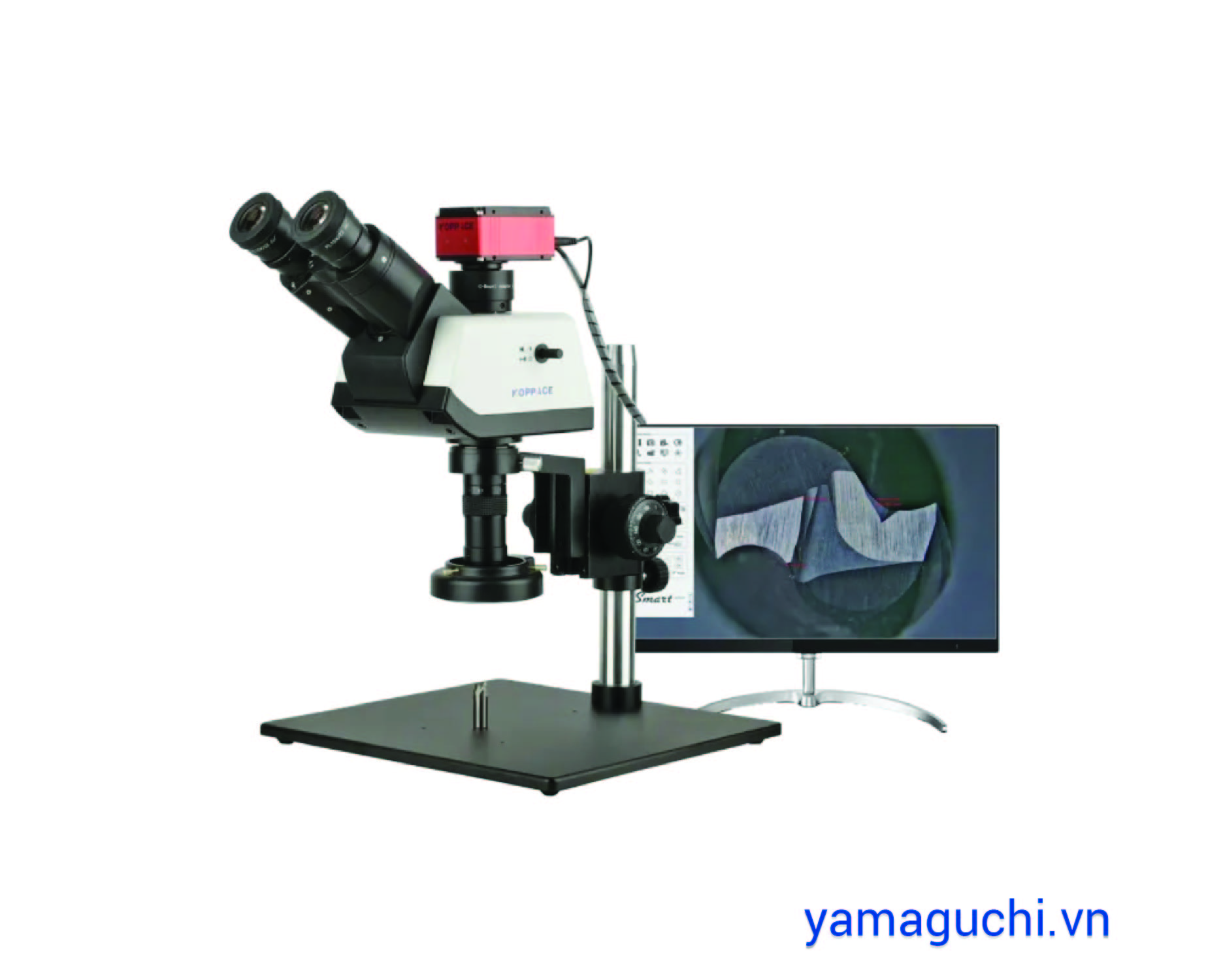 [Updated 2025] Trinocular microscope price for manufacturing industry