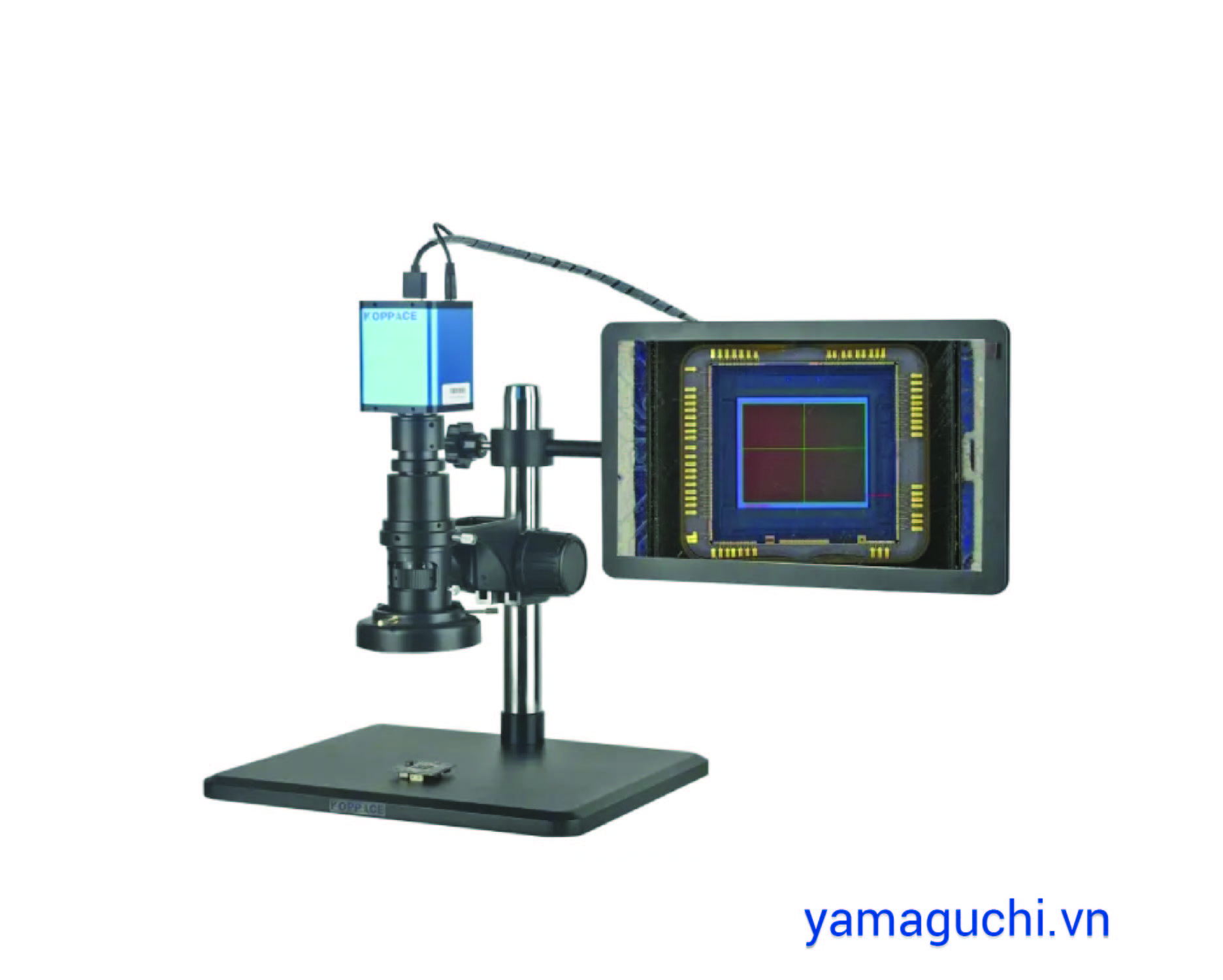 Video Microscope