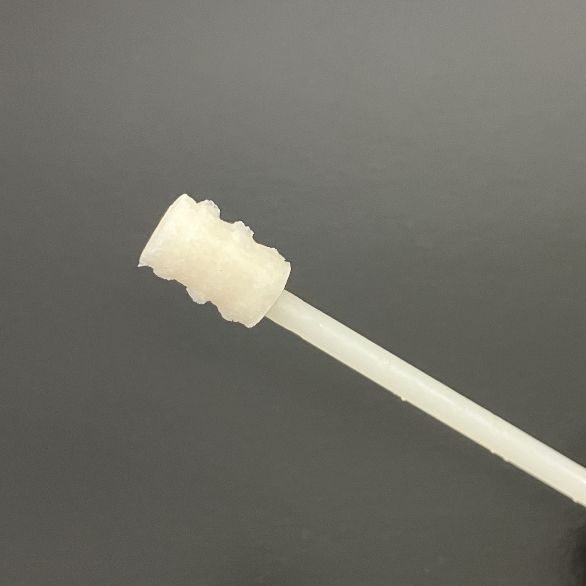 Kit kiểm tra nhanh protein sữa (Milk)- Rapid test Easy