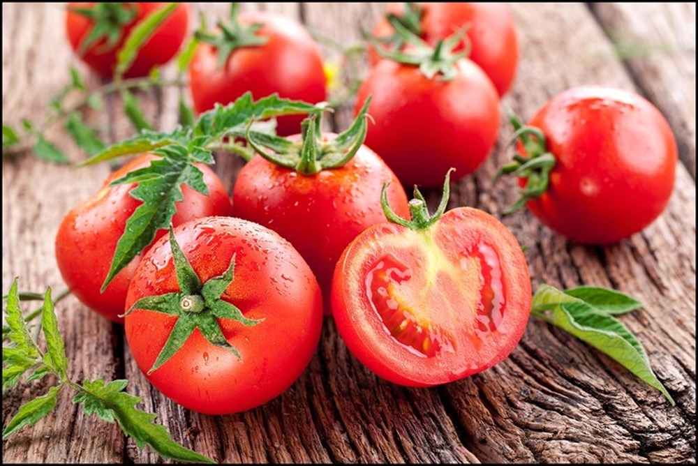 Tomato Cells Under A Microscope