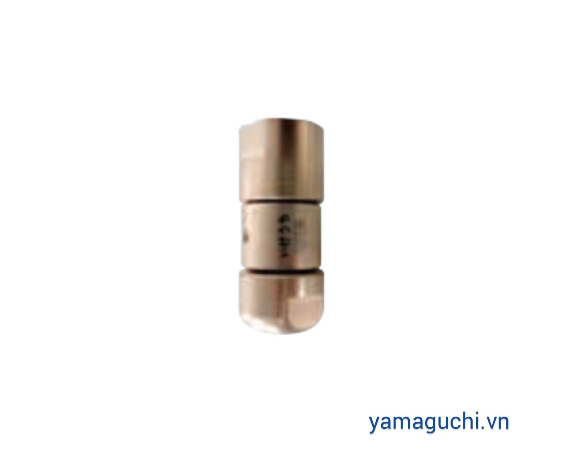 Béc quay rửa đường ống áp lực cao RSP-R IKEUCHI