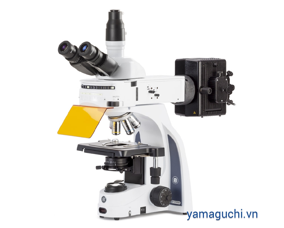 iScope S.3153‑EPLi/6 Fluorescence Microscope