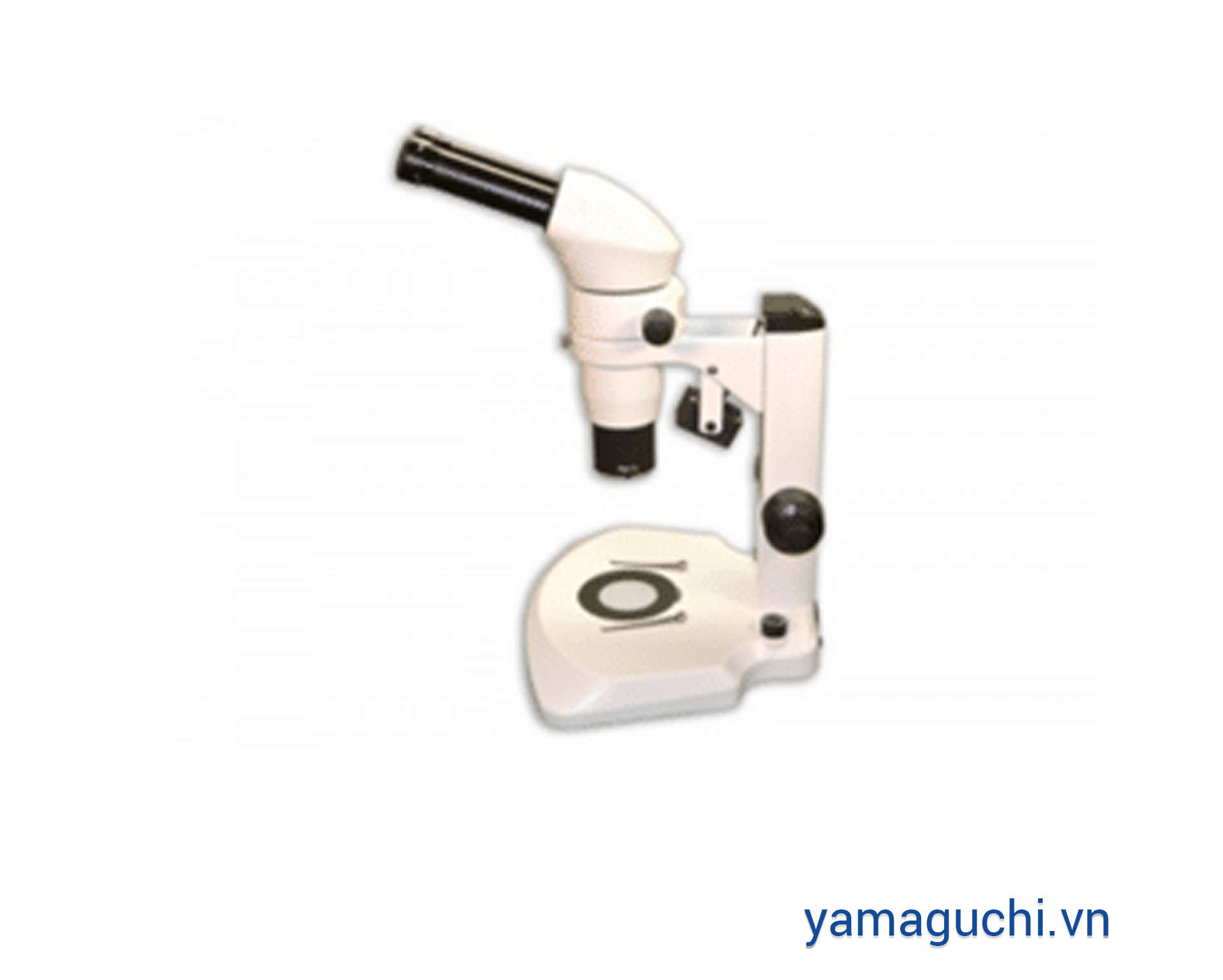 CZ-1105 Stereo Microscope