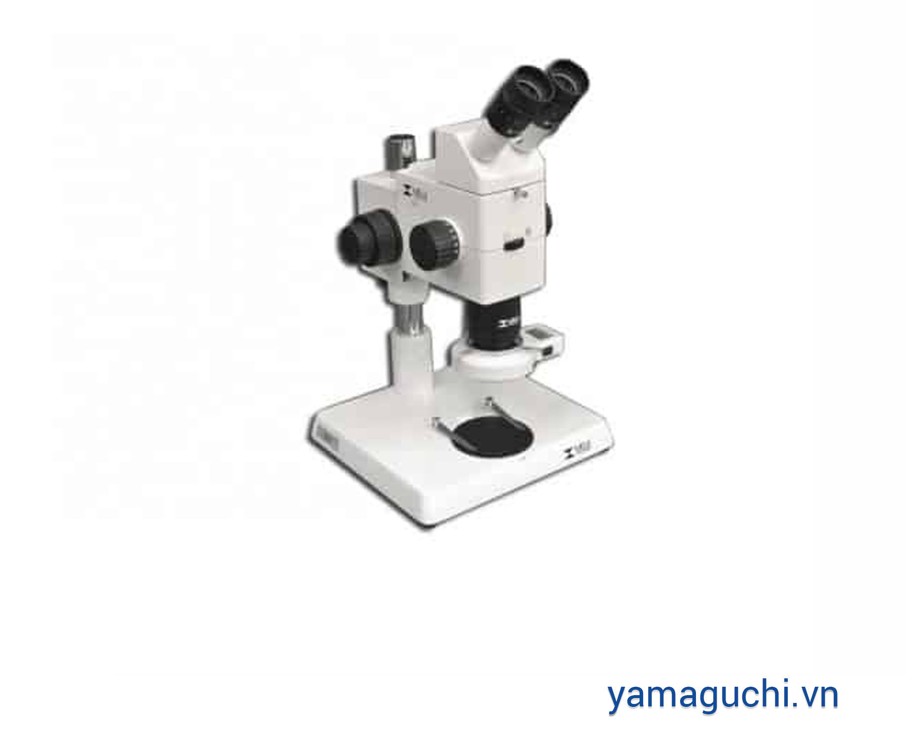 RZ Research Stereo Microscope