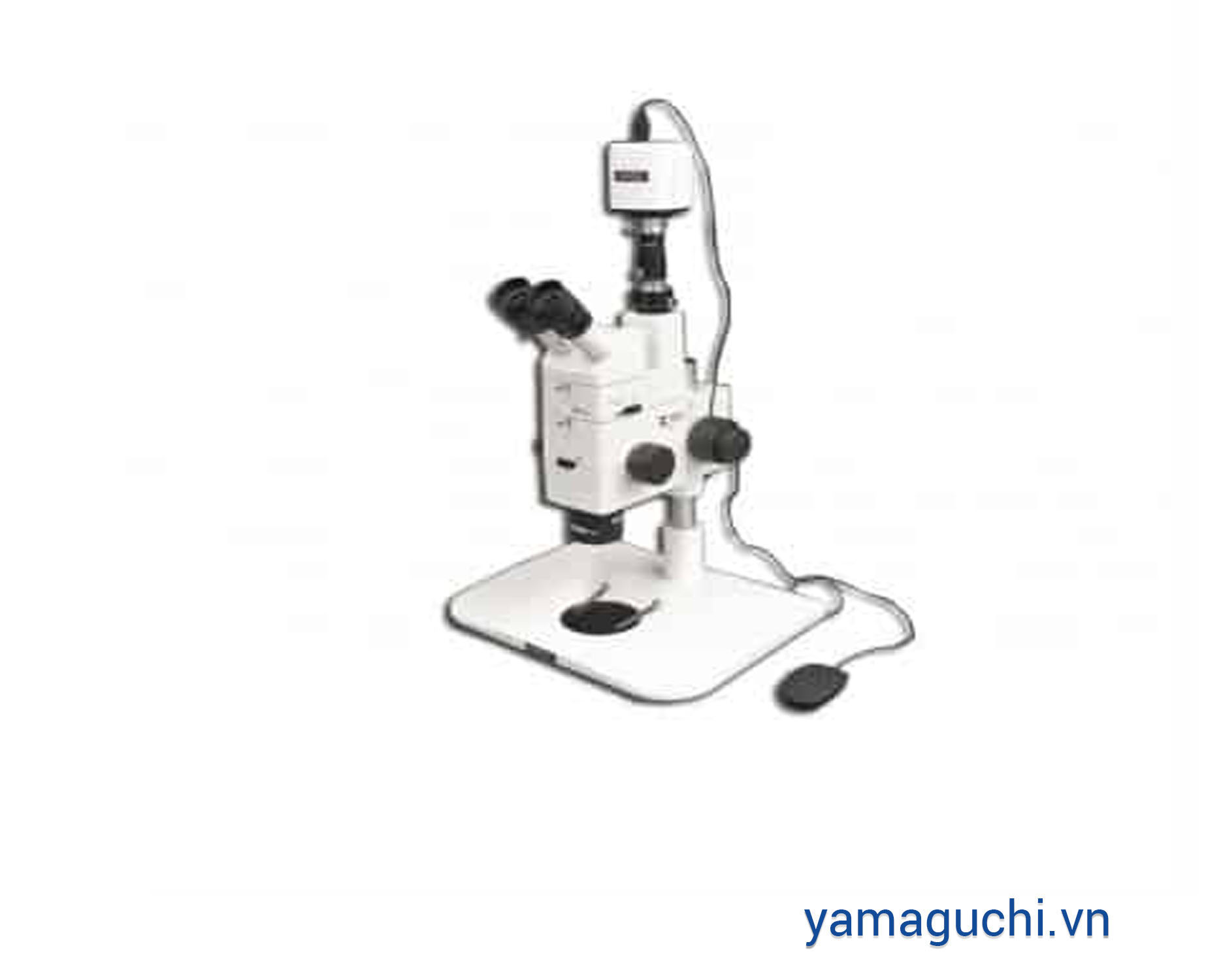 RZ Research HD1000-LITE Stereo Microscope