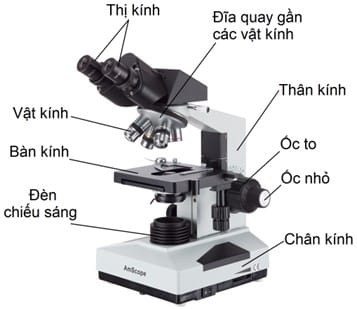 kinh-hien-vi-quang-hoc