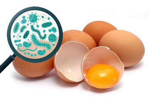 test-kiem-tra-nhanh-ecoli-va-salmonella