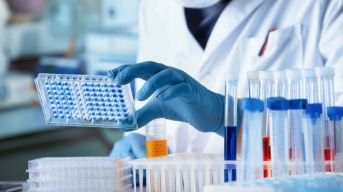Hướng dẫn sử dụng test elisa của Morinaga từ A-Z