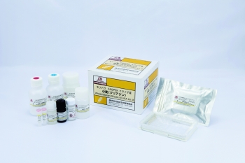 Kit ELISA kiểm tra protein dị ứng lúa mì (Wheat protein/ Gluten)