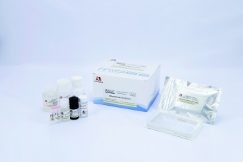 Kit ELISA kiểm tra protein dị ứng lúa mì (Gluten analysis)