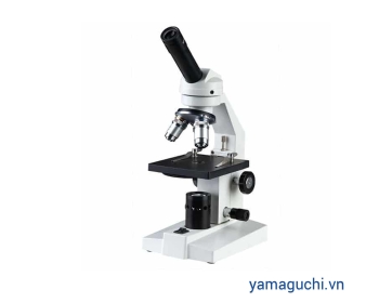 BP-30 (DG-100FL) Biological Microscope