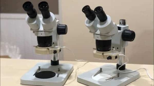 Các bước sử dụng kính hiển vi giúp quan sát hiệu quả nhất